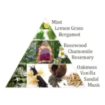 Aromafume briques d'encens Chakra 3°chakra