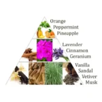 Aromafume briques d'encens Chakra 5°chakra