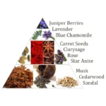 Aromafume briques d'encens Chakra 6°chakra