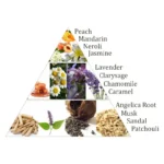 Aromafume briques d'encens Chakra 7°chakra