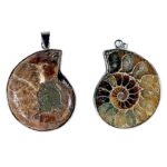 Pendentif Ammonite