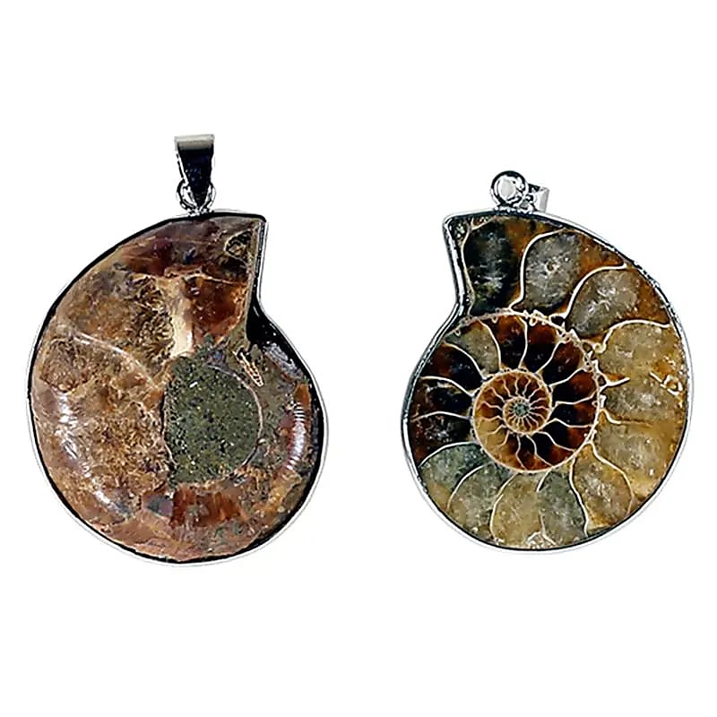 Pendentif Ammonite