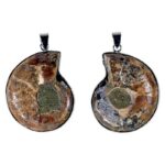 Pendentif Ammonite