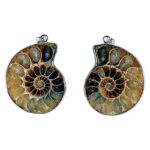 Pendentif Ammonite