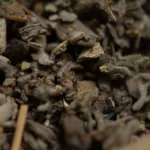 Sagrada Madre Sahumitos smudge Sauge blanche